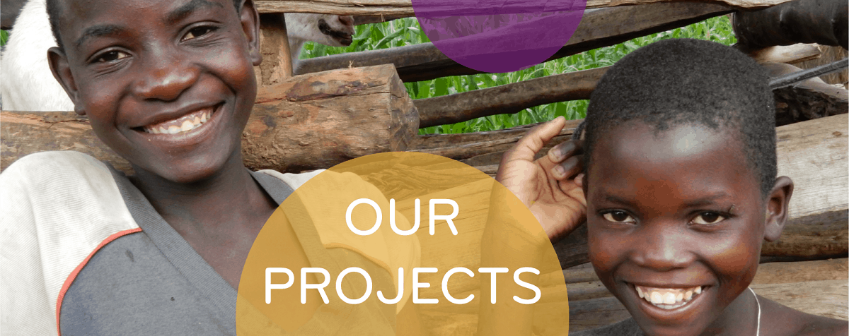 WeSeeHope has 29 projects in Southern and Eastern Africa