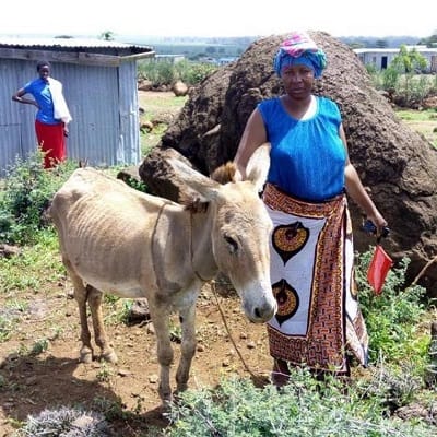 Jenifer and her donkey