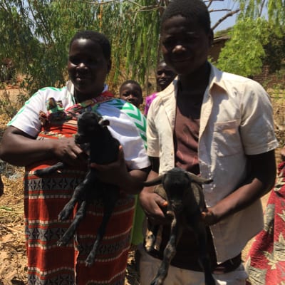 Kelvin and his goats